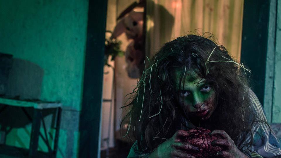 8 Outstanding Orlando Halloween Events - A Petrified Forest