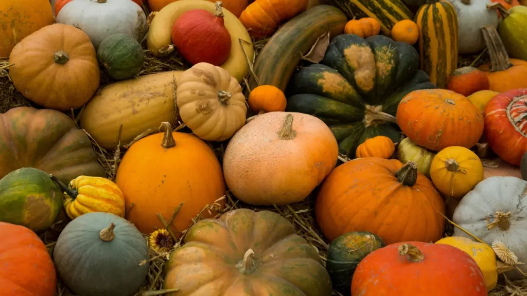 Nashville Halloween Events - Gentry Farm