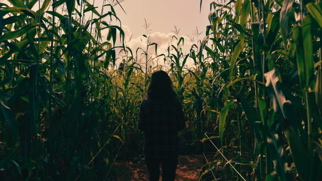 Seattle Halloween Events - Haunted Woods at Maris Farms